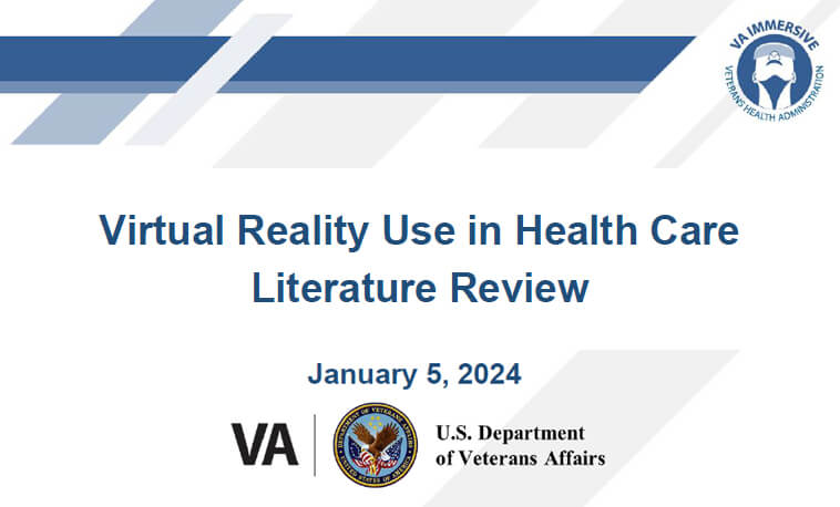 VA Immersive 2024 Literature Review graphic